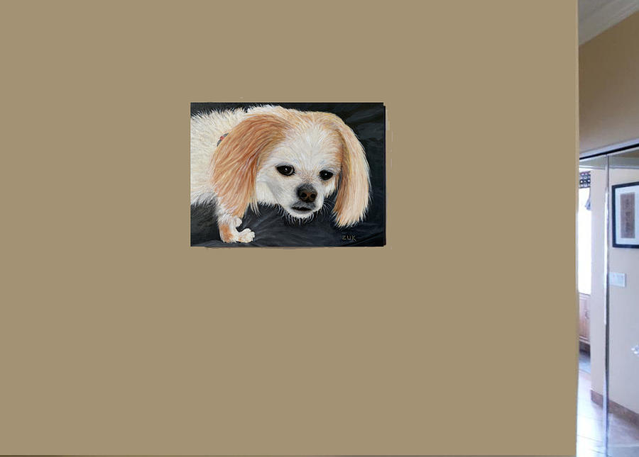 Baxter by Karen Zuk Rosenblatt Baxter by Karen Zuk Rosenblatt