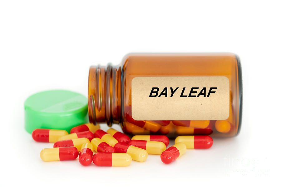Bay Leaf Herbal Medicine Photograph by Science Photo Library Bay Leaf Herbal Medicine Photograph by Science Photo Library
