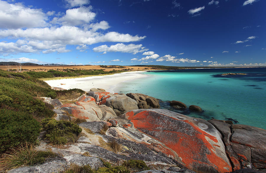 Bay Of Fires Photograph by Steve Daggar Photography