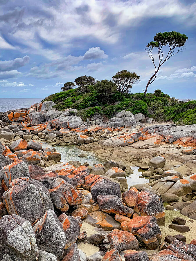 Bay of Fires - Tasmania - Australia Photograph by Tony Crehan - Fine ...