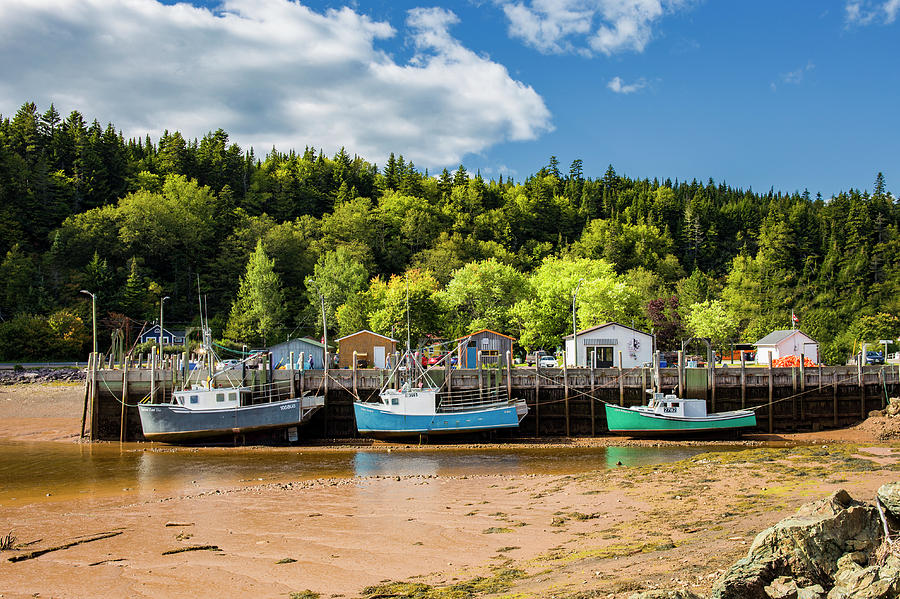 Bay Of Fundy Boats Photograph