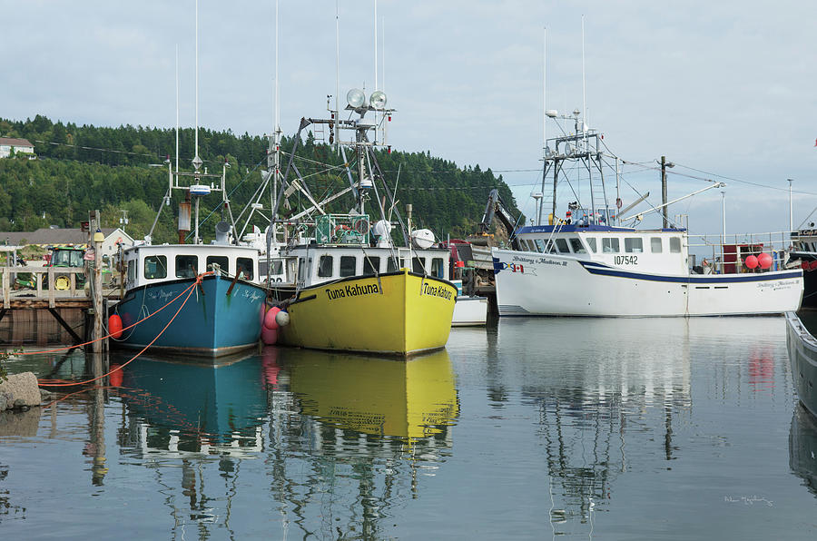 Bay Of Fundy II Photograph By Alan Majchrowicz Fine Art America   Bay Of Fundy Ii Alan Majchrowicz 