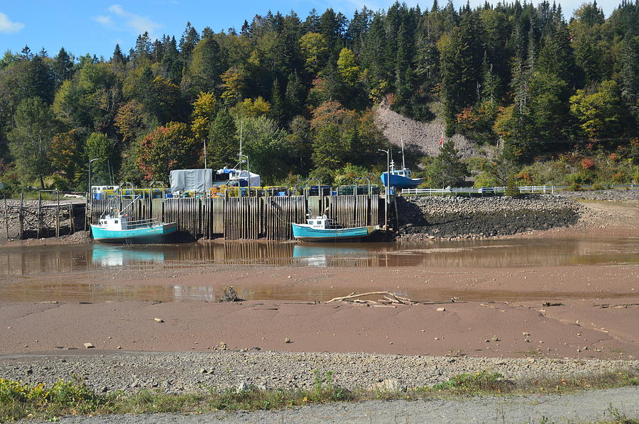 bay of fundy tide graph bay of fundy tide graph