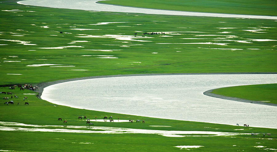 Bayinbuluke Grassland Photograph by Zhouyousifang