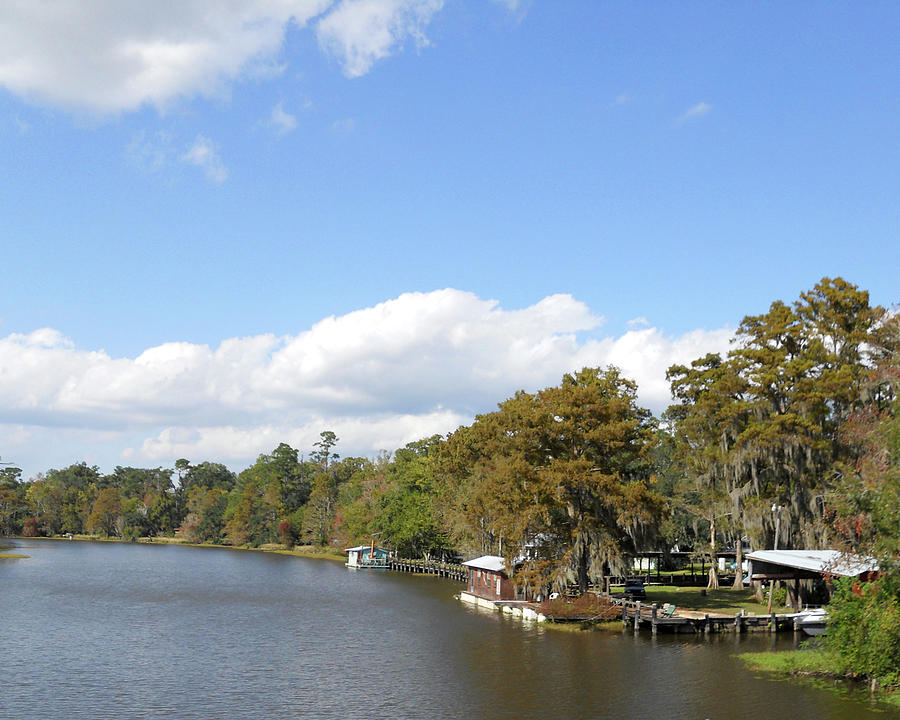 Bayou Landscape Photograph by Maggy Marsh