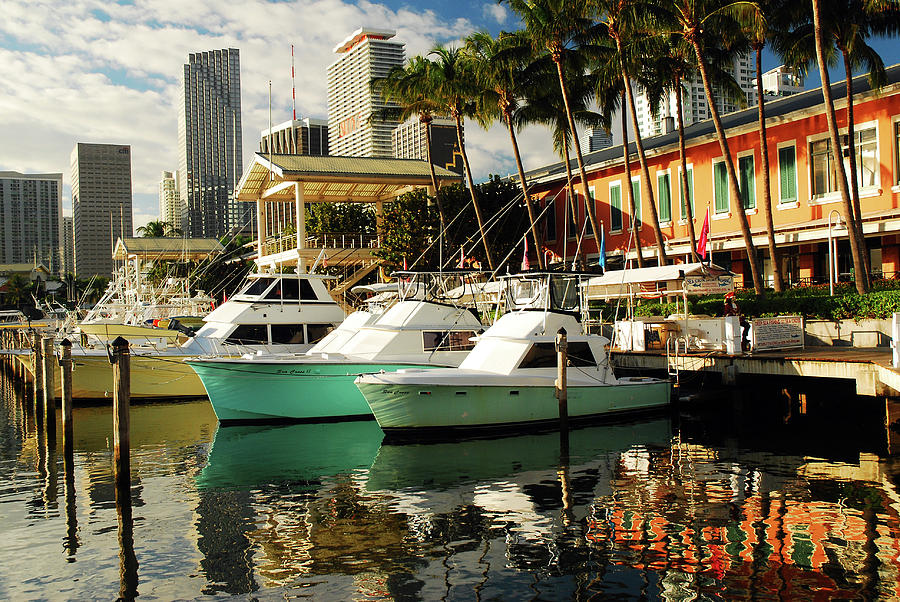 Bayside, Miami Florida Photograph by James Kirkikis