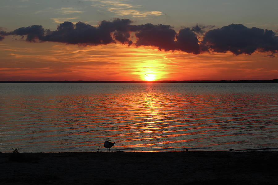Bayside Sunset Photograph by Linda Sannuti