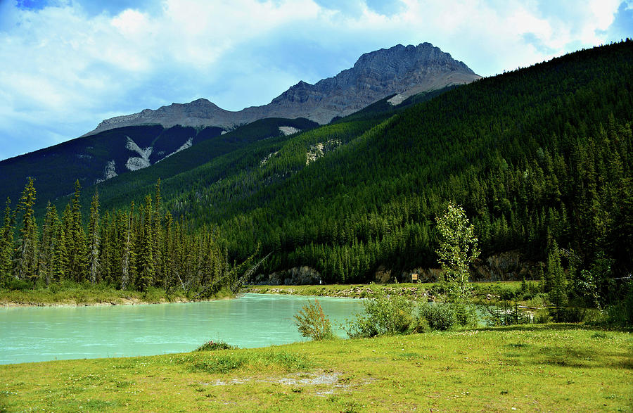 Bc Mountains Pyrography by Anna Jacobson