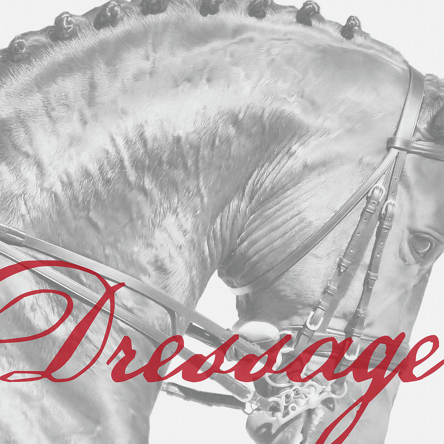Be Equestrian Dressage Photograph by Dressage Design