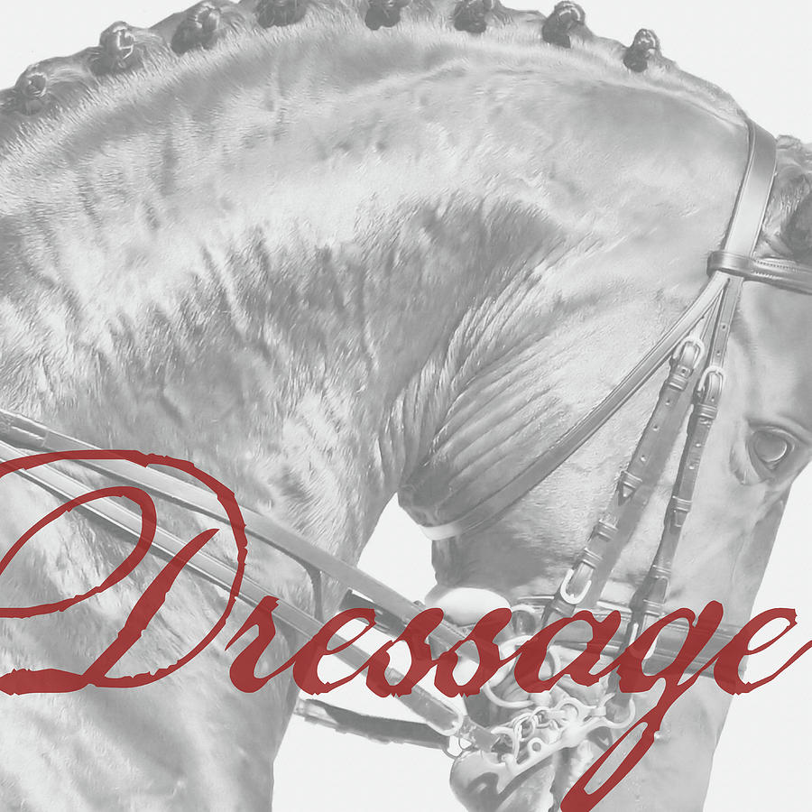Be Equestrian Dressage Photograph by JAMART Photography