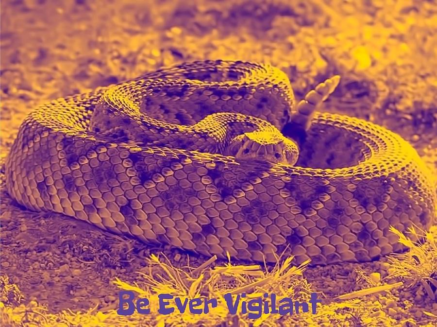 Be Ever Vigilant Photograph by Judy Kennedy