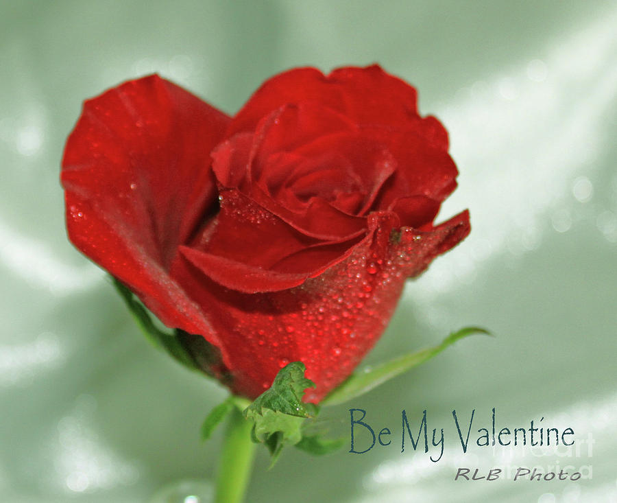 Be My Valentine Mixed Media by Rita Brown