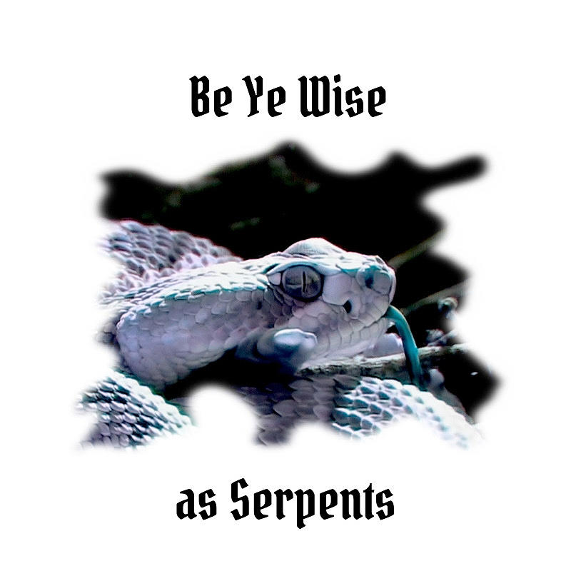 Be Ye Wise as Serpents Photograph by Judy Kennedy