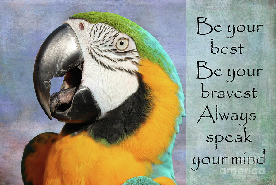 Be Your Best Be Your Bravest Photograph by Nina Silver
