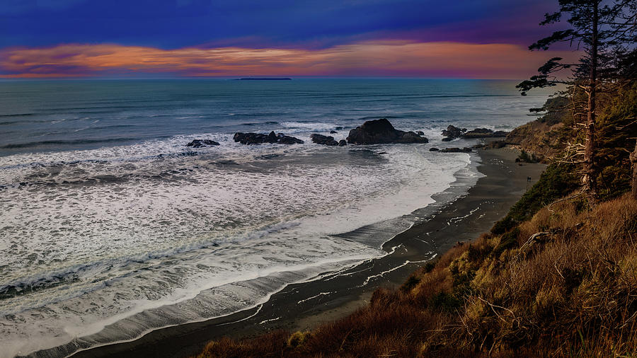 Beach 4 Olympic national Park 1 Photograph by Mike Penney | Fine Art ...