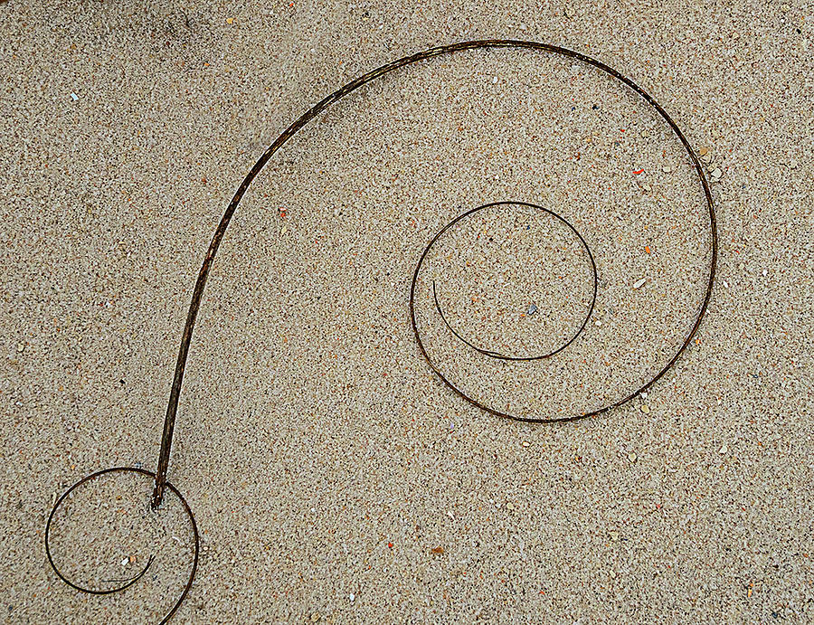 Beach Abstract Photograph by Jean Noren