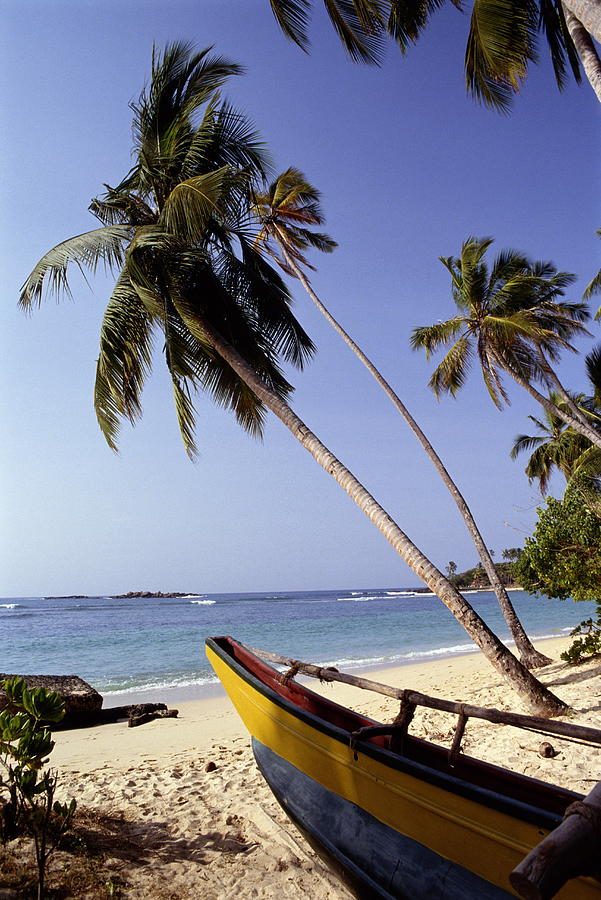 Beach And Palm Trees, Unawatuna, Sri Photograph by Frans Lemmens