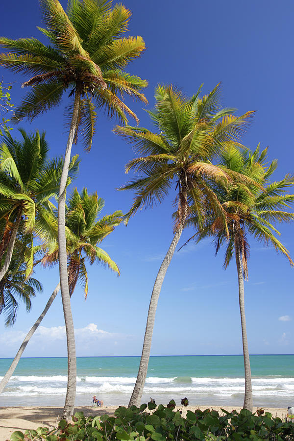 Palmas Del Mar Beach