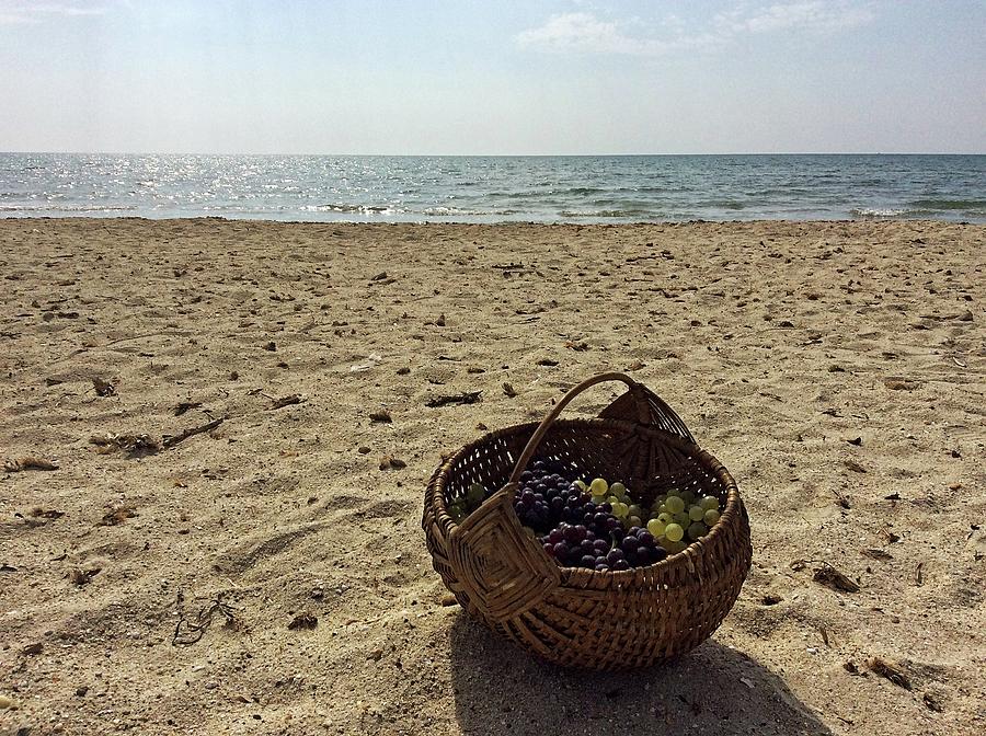 Beach basket Photograph by Martin Smith