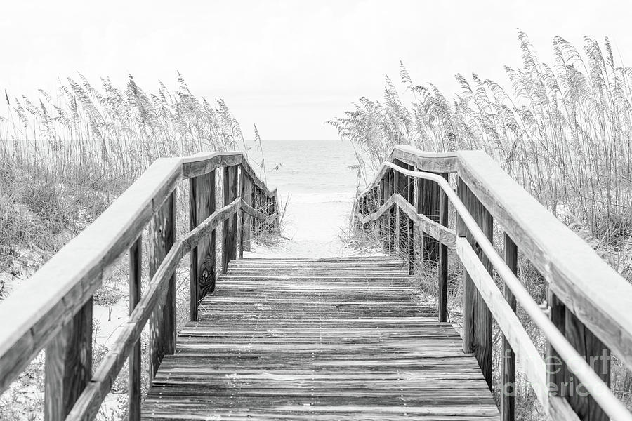 Beach Boardwalk and Sea Oats Grass Florida Panhandle Photo Photograph by Paul Velgos