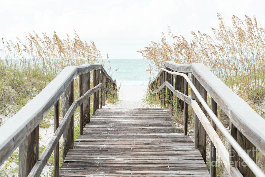 Beach Boardwalk and Sea Oats Grass Pensacola Florida Photo Photograph by Paul Velgos