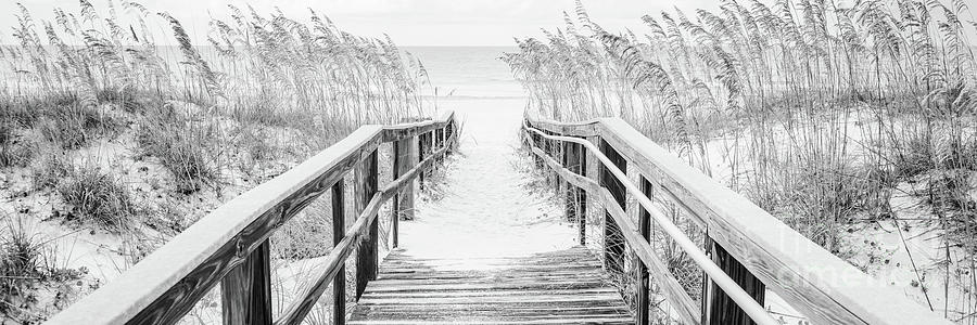 Beach Boardwalk Pensacola Black and White Panorama Photo Photograph by Paul Velgos