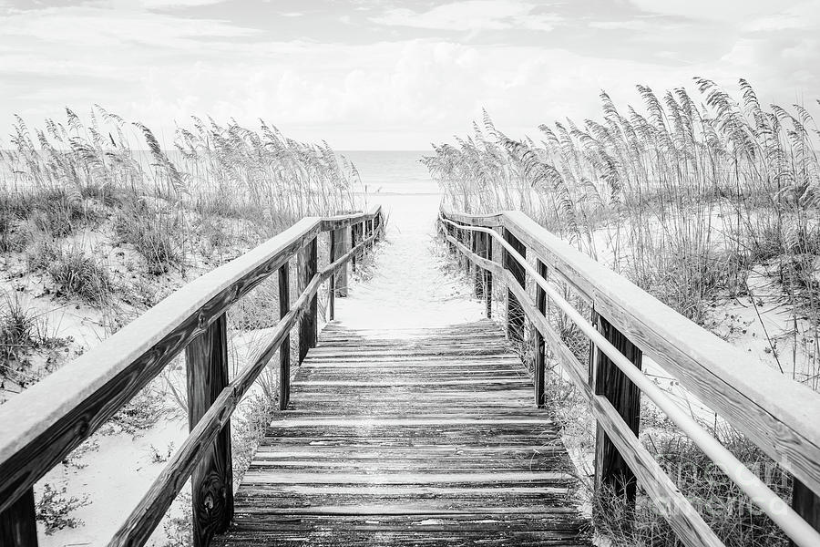 Beach Boardwalk Pensacola Florida Black and White Photo Photograph by Paul Velgos