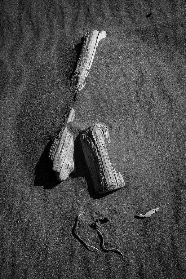 Beach Bones 9 Photograph