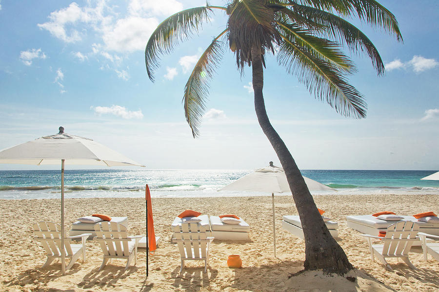 Beach Chairs And Umbrella With Palm Photograph by Sasha Weleber