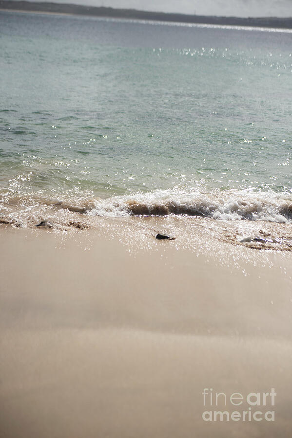 Beach collection photo 2 by Jenny Potter Beach collection photo 2 by Jenny Potter