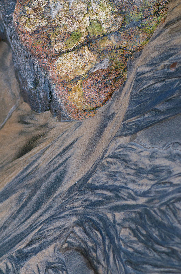 Beach Detail, California Photograph by Michael Lustbader