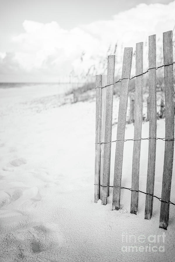 Beach Fence in Pensacola Florida Black and White Photo Photograph by Paul Velgos