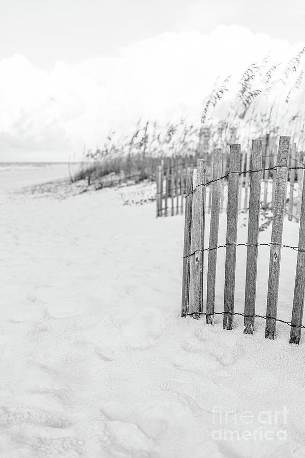 Beach Fence Pensacola Florida Black and White Photo Photograph by Paul Velgos