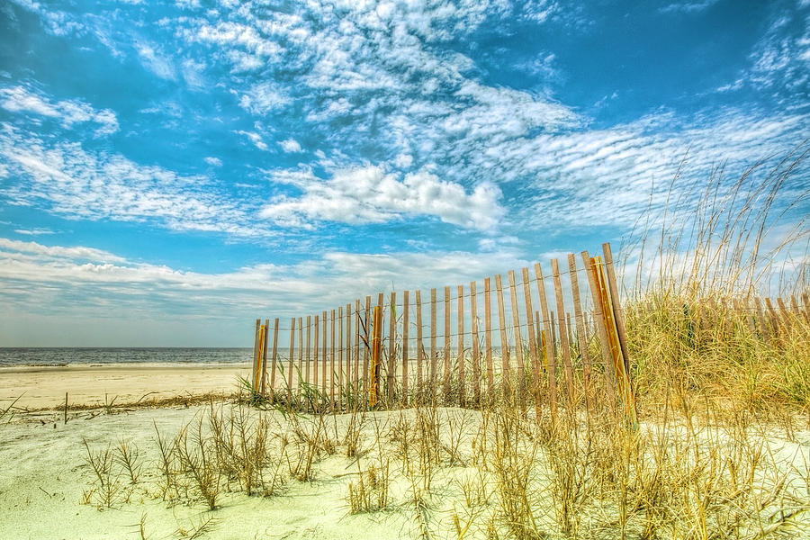 Beach Fences at the Dunes Photograph by Debra and Dave Vanderlaan