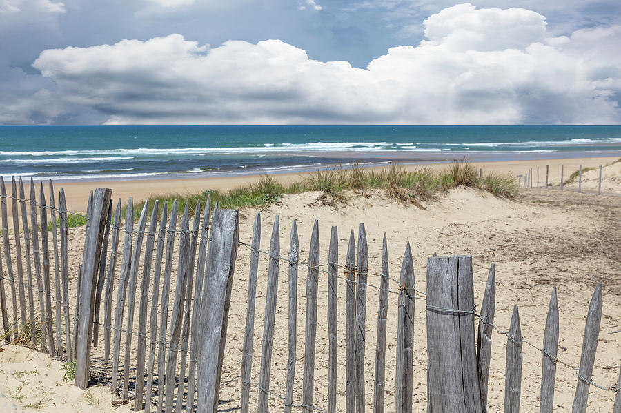 Beach Fences on the Dunes Photograph by Debra and Dave Vanderlaan ...