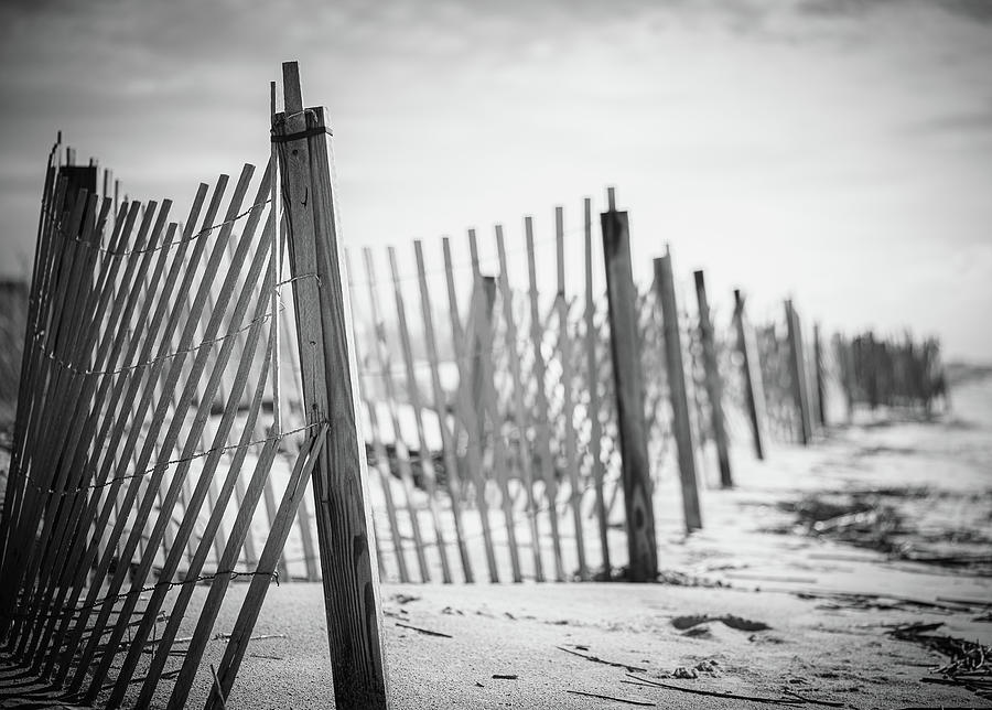 Beach Fencing Photograph by Lori Rowland