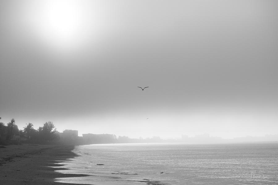 Beach Fog Photograph by Nunweiler Photography