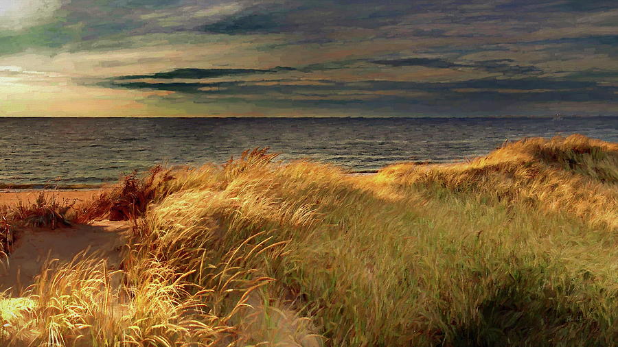 Beach Grass At Sunset Digital Art