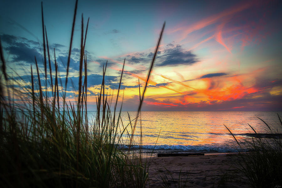 Beach Grass Sunset Photograph by Owen Weber