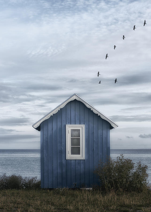 Bird Photograph - Beach Hut by Lotte Grnkjr
