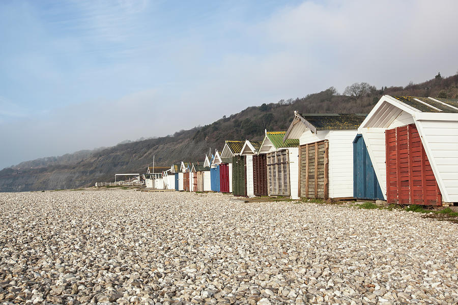 Beach Huts At Lyme Regis, Dorset Photograph by Nick Cable