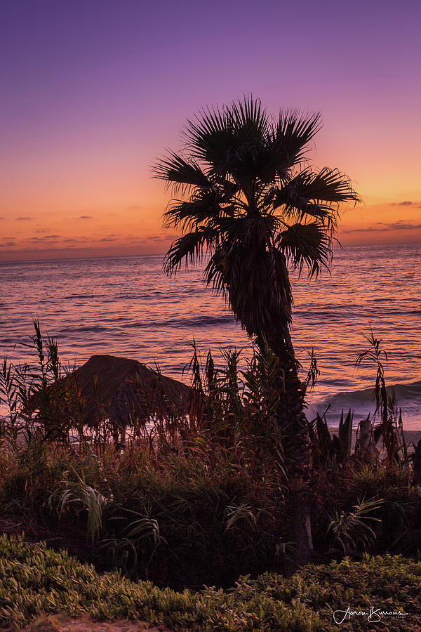Beach Last Light Photograph by Aaron Burrows