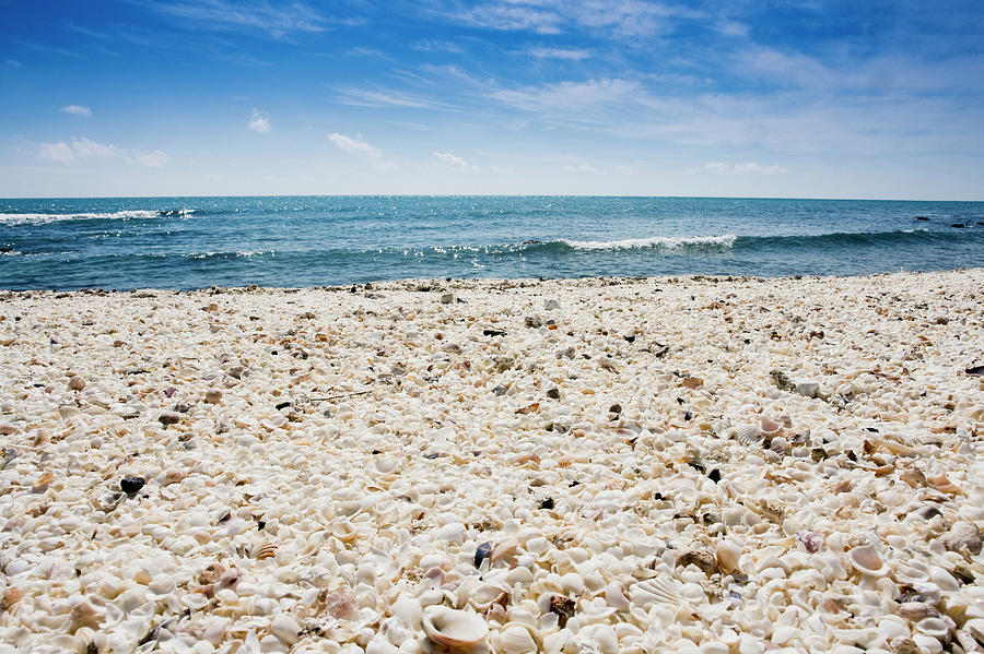 Nature Photograph - Beach Made Of Sea Shells by Cristian Baitg