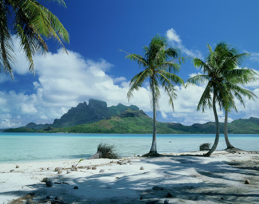 Beach Of Bora Bora Island, Tahiti Photograph by Mixa