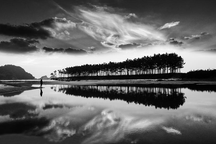 Tree Photograph - Beach Of Pine Grove by Ryu Shin-woo