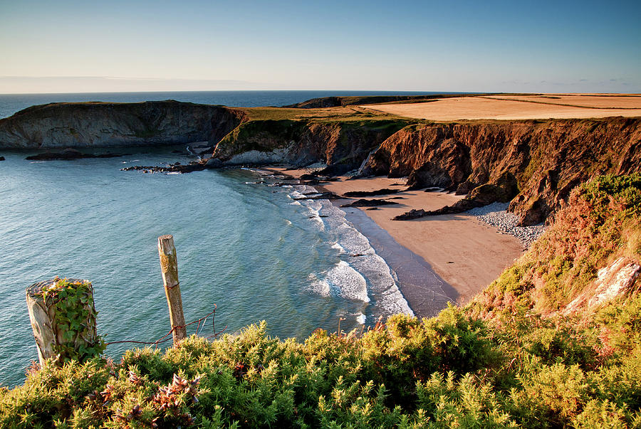 Beach On The Pembrokeshire Coast Path Photograph by Michael Roberts