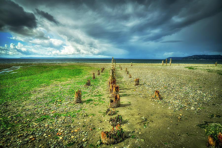 Beach Pillars Photograph by Spencer McDonald