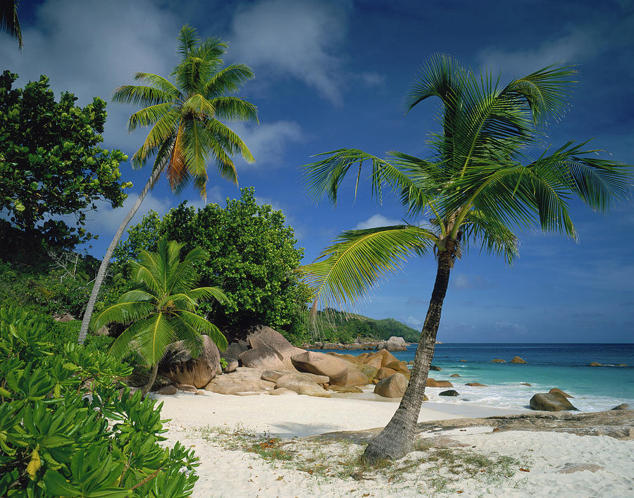 Beach, Praslin Island, Seychelles Digital Art by Fridmar Damm | Fine ...