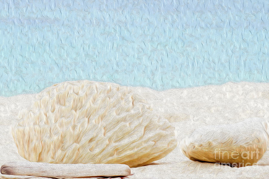 Beach Rocks at Seven Mile Beach in Grand Cayman Digital Art by Kenneth Montgomery