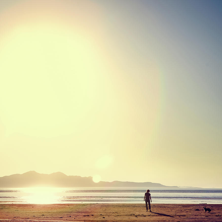 Beach Scene With Woman And Dog Photograph by Ryanjlane